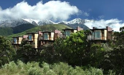 Vamos a hoteles en los &aacute;rboles. Hoteles por las ramas