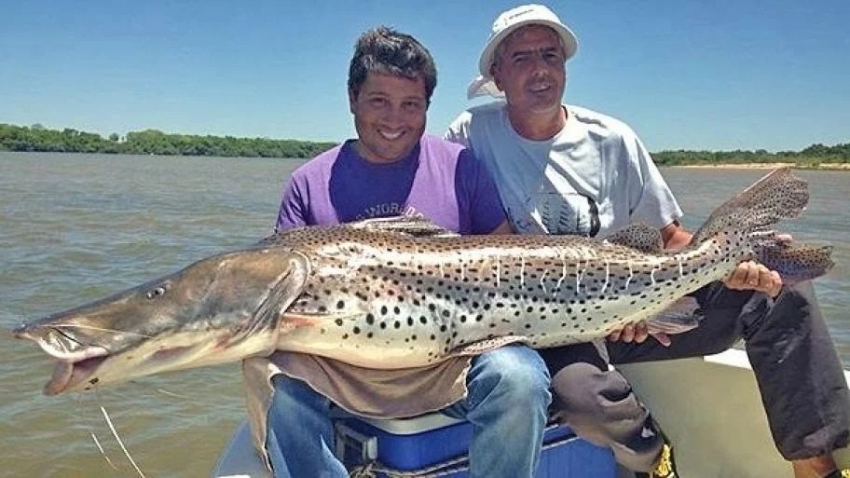 En Argentina, un mill&oacute;n de personas vivieron la Fiesta Nacional del Surub&iacute;