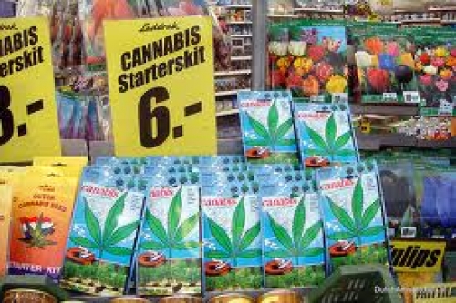 Holanda prohibirá la venta de cannabis a los extranjeros