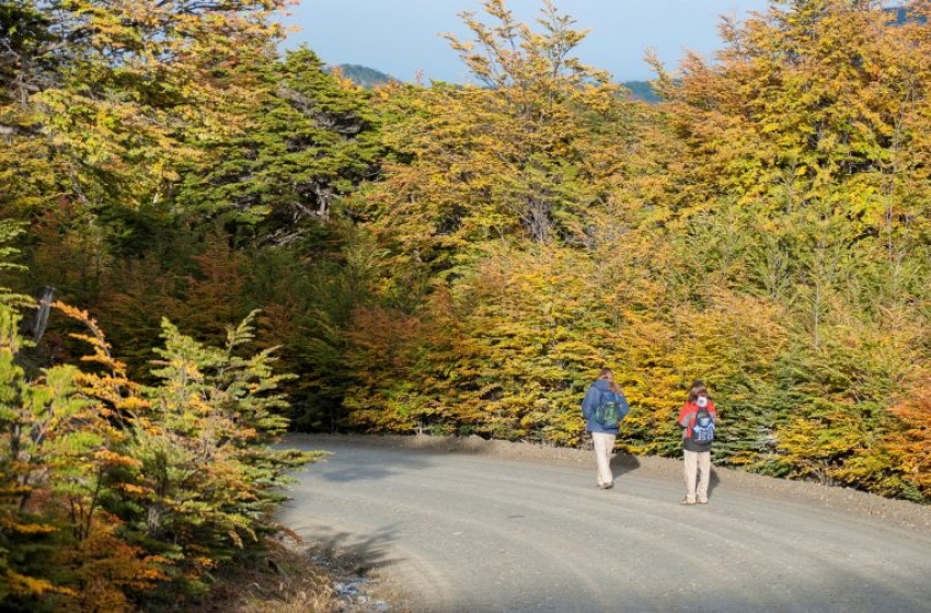 El perfil del futuro viajero argentino