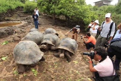 Conozca las Islas Galápagos en el Pacífico ecuatoriano