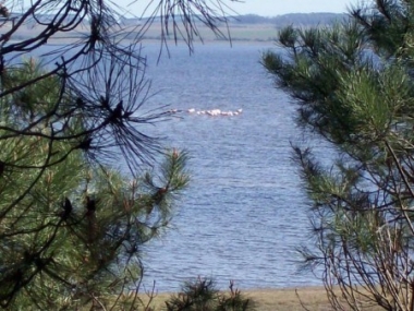 Lagunas, lagunas y más lagunas...