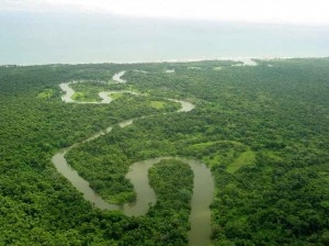 Encontrada una ciudad perdida en la selva de Honduras