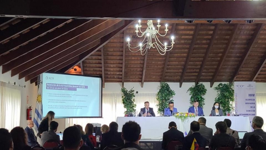 Aviaci&oacute;n en Am&eacute;rica Latina y el Caribe toma vuelo hacia la producci&oacute;n y uso de combustibles sostenibles﻿