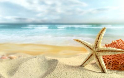 De 5.000 agencias colombianas, ni el 10% tiene versi&oacute;n online