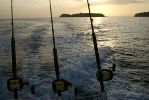 Panam&aacute;, el para&iacute;so de los peces