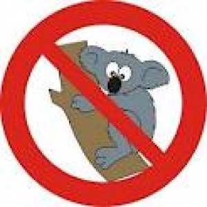 ¿Se restructurará Aerolíneas Argentinas?