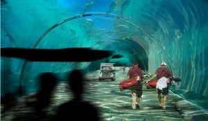 Inversiones multimillonarias hacia el turismo de todo el mundo