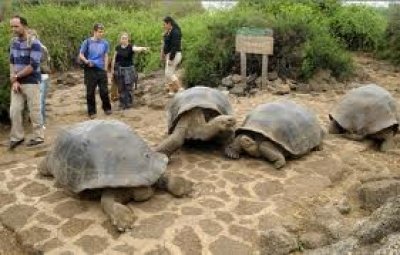Ecuador busca convertirse en una potencia tur&iacute;stica mundial
