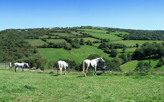 Dudas sobre la veracidad de las estadísticas del turismo mundial