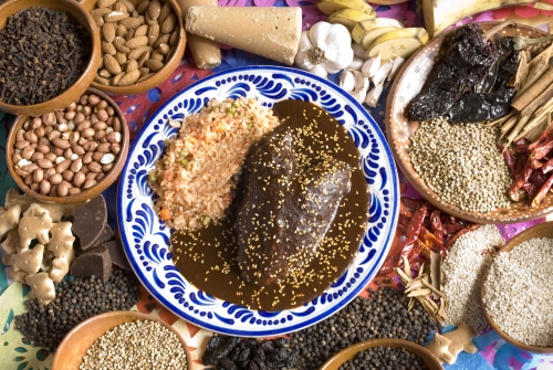 Rosario sede del festival gastron&oacute;mico de M&eacute;xico