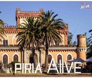 PIRIA ALIVE gan&oacute; el Trofeo de Oro Internacional en Live Brasil 2021