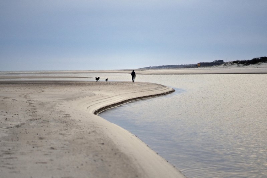 Federico Van Geldern, un ciudadano argentino que vive en un balneario llamado Sol&iacute;s, en Uruguay, camina con sus perros en la playa el martes 15 de septiembre de 2020. Desde que la pandemia del nuevo coronavirus empez&oacute; hace m&aacute;s de seis meses, miles de argentinos como Van Geldern decidieron permanecer y vivir en Uruguay.