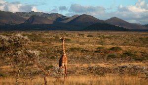 Etiop&iacute;a y Kenia, para viajeros atrevidos