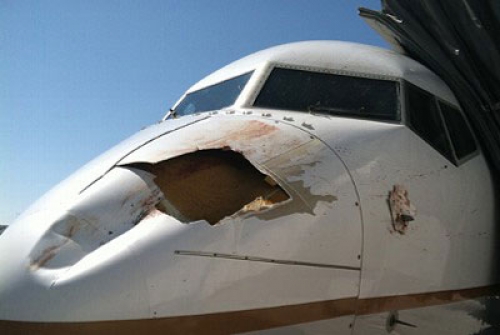 Avi&oacute;n colisiona con ave en EE.UU.