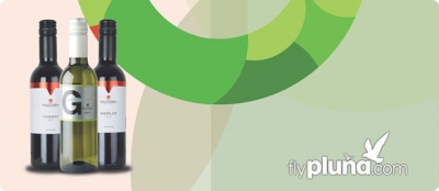 Filgueira cerró importante acuerdo con Pluna