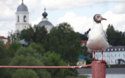 La ciudad del rat&oacute;n s&iacute; quiere turistas