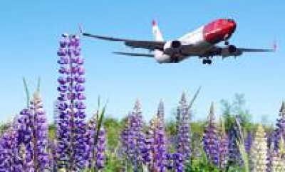 La aerol&iacute;nea Norwegian adquiere 222 aviones