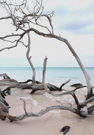 Los turistas pagaron una cobranza ilegal en playa cubana durante 15 a&ntilde;os, dice un peri&oacute;dico