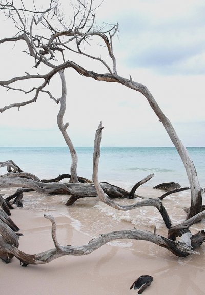 Los turistas pagaron una cobranza ilegal en playa cubana durante 15 años, dice un periódico