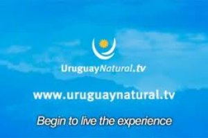 Organizaci&oacute;n Mundial de Turismo reconoci&oacute; a &ldquo;Uruguay Natural TV&rdquo; como medio innovador