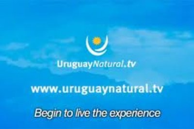 Organizaci&oacute;n Mundial de Turismo reconoci&oacute; a &ldquo;Uruguay Natural TV&rdquo; como medio innovador