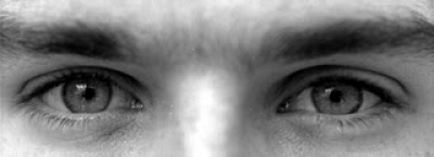 El cierre de Pluna mirado desde el sector turístico