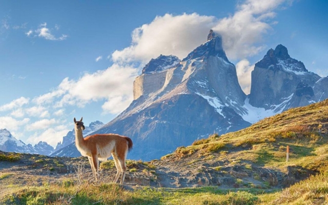 Planificación pública del turismo II: evaluación de la posición del turismo