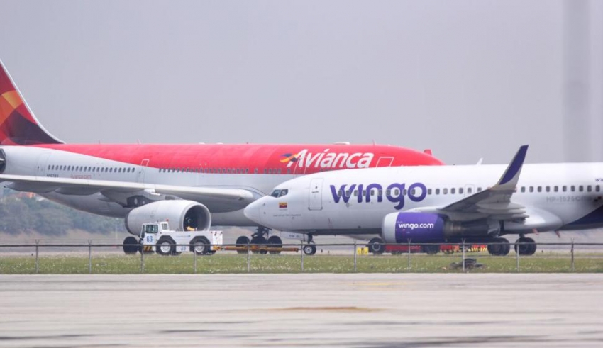 Wingo compite con Avianca en los vuelos entre Medell&iacute;n y Punta Cana