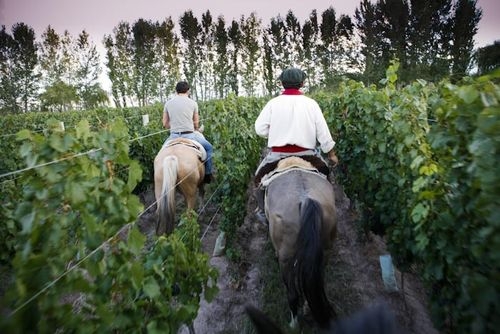 Paco Nadal en Mendoza sin Julia Roberts: comer, dormir, cabalgar