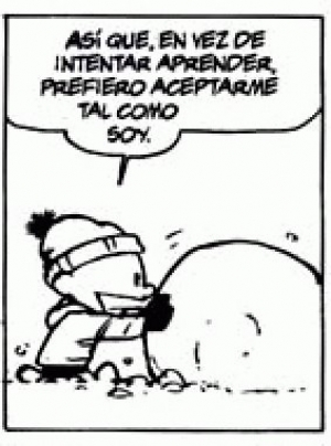 La cuestión argentina e internacional: somos incultos