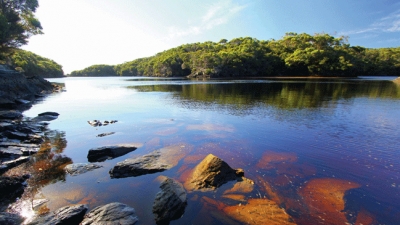 Tasmania, la isla del fin del mundo