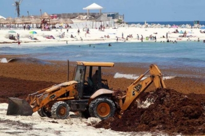 De no invertir en la eliminaci&oacute;n del sargazo en Quintana Roo, el turismo en la entidad podr&iacute;a caer un 19 % el pr&oacute;ximo a&ntilde;o, estim&oacute; la Secretar&iacute;a de Turismo.