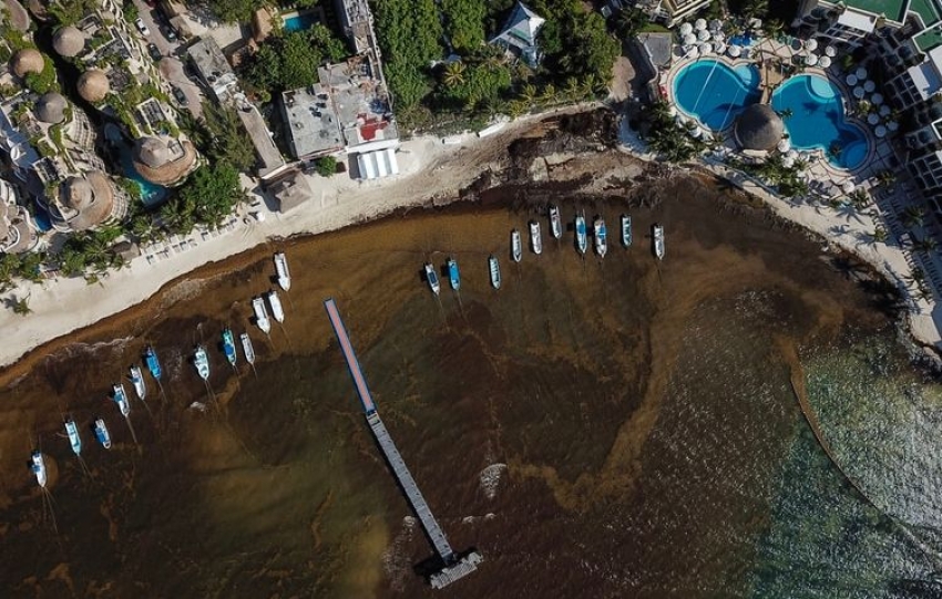  Una mancha caf&eacute; de sargazo cubre las costas de Playa del Carmen, uno de los destinos tur&iacute;sticos m&aacute;s importantes de M&eacute;xico, a pesar de los esfuerzos por recoger el alga. 