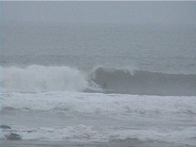 Tiembla Maldonado y tiembla Punta del Este -Semana del 4 al 11 de agosto-