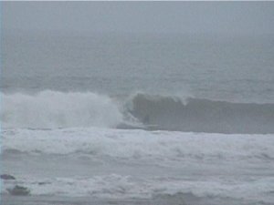 Tiembla Maldonado y tiembla Punta del Este -Semana del 4 al 11 de agosto-