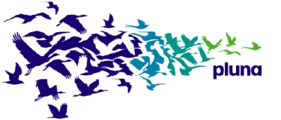 Compleja situaci&oacute;n interna en Pluna