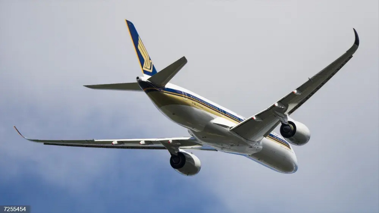 Air New Zealand y Singapore Airlines expanden su red con casi medio mill&oacute;n de asientos