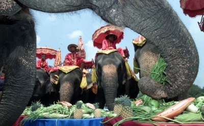 El turismo pone en peligro al elefante salvaje en Tailandia
