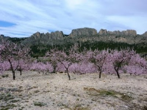 Skyscanner selecciona los mejores destinos con aroma