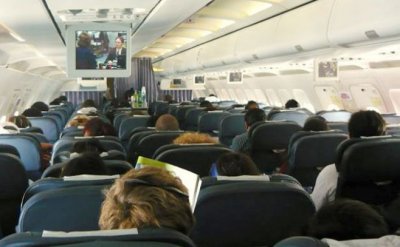Despiden a empleados por extravío de una perra