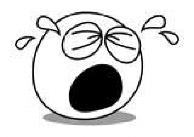 La subasta de PLUNA ser&aacute; un fracaso nuevamente. Un cuartito para ir a llorar...