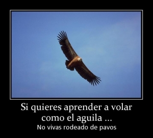 Es tiempo de aprender a volar