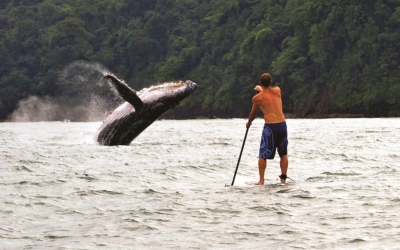 Buscando experiencias, una nueva opci&oacute;n tur&iacute;stica