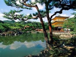 Las reservas a Jap&oacute;n se recuperan lentamente