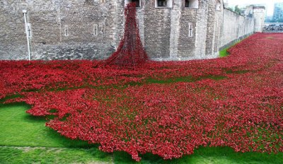 Un mar de amapolas en la Torre de Londres, homenaje nacional y atracci&oacute;n tur&iacute;stica
