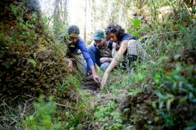  Inédita campaña ciudadana busca plantar un millón de árboles en la Patagonia chilena