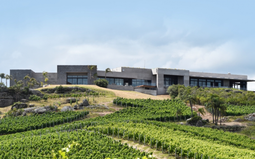 Bodega Garz&oacute;n, Maldonado, Uruguay.