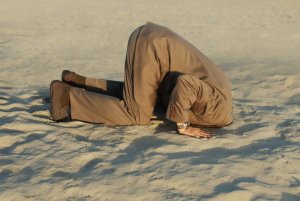 Avestruces entre nosotros