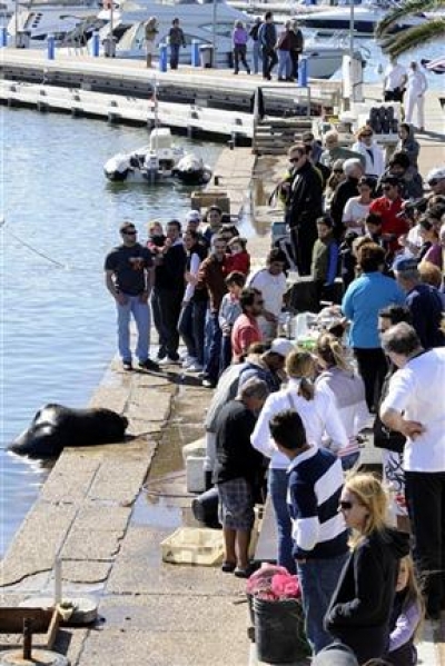 Compra de pescado en los puestos del puerto, en Punta del Este.  / IRMA MONTIEL / PUNTA PRESS / MAURO V. RIZZI.